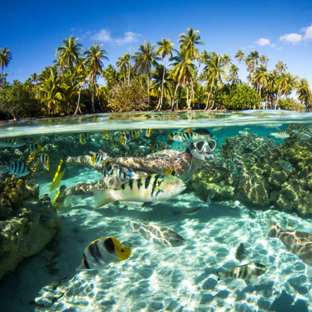 Home - Marama tours | Travel and plan your tours in Tahiti with Marama ...